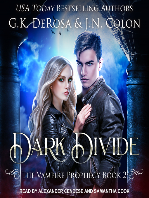 Cover image for Dark Divide